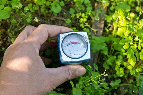 how to measure soil moisture